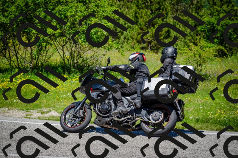 202506011213-DSC_3912_c2