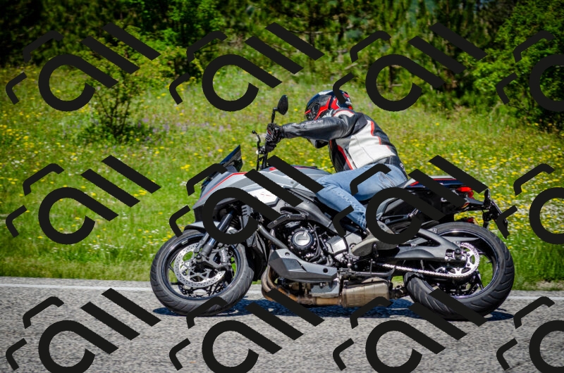 202506011213-DSC_3920_c2