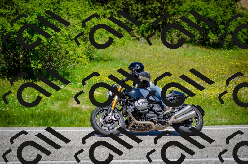 202506011213-DSC_3923_c2