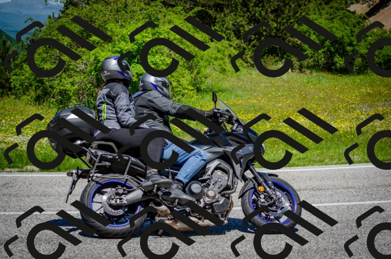 202506011213-DSC_3924_c2