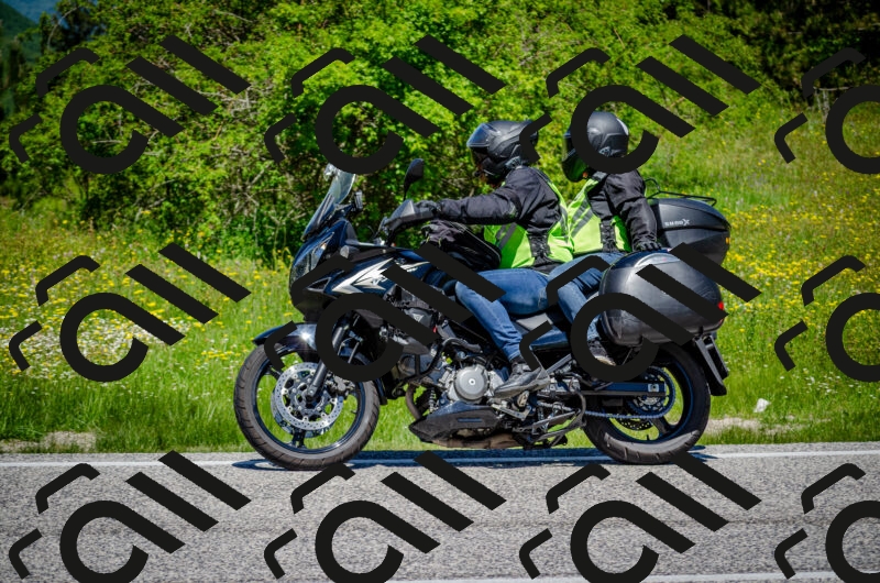 202506011213-DSC_3929_c2