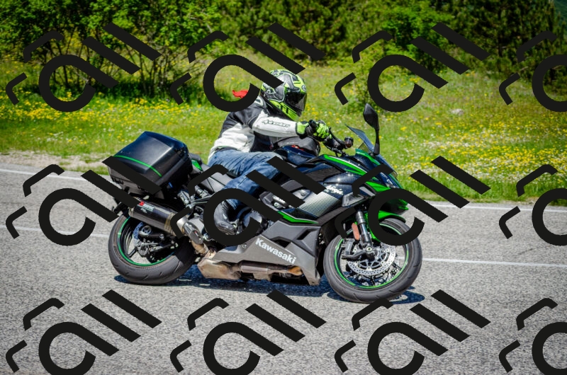 202506011213-DSC_3931_c2