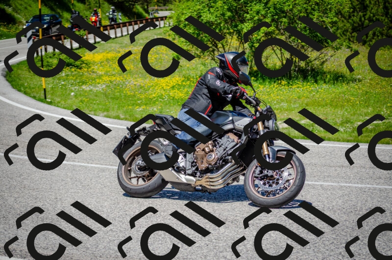 202506011214-DSC_3932_c2