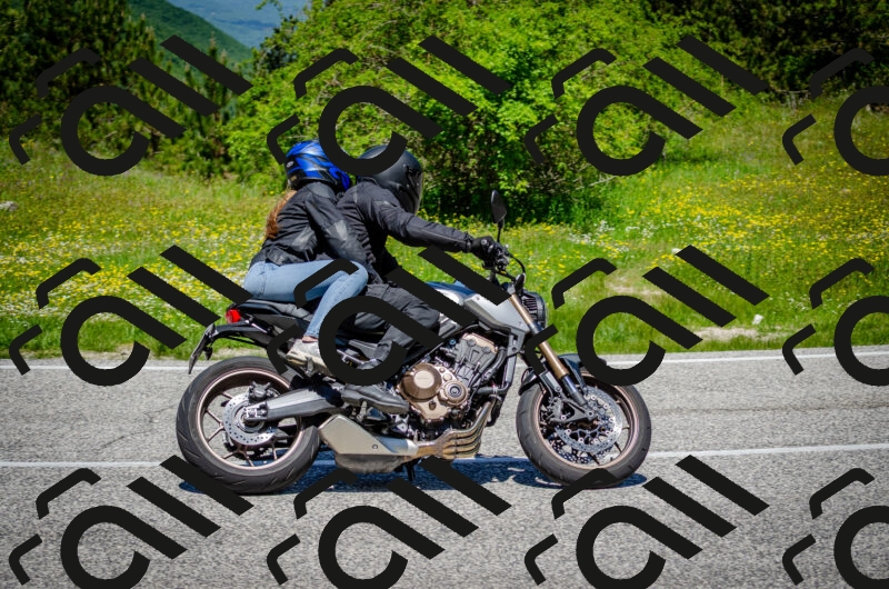 202506011214-DSC_3935_c2