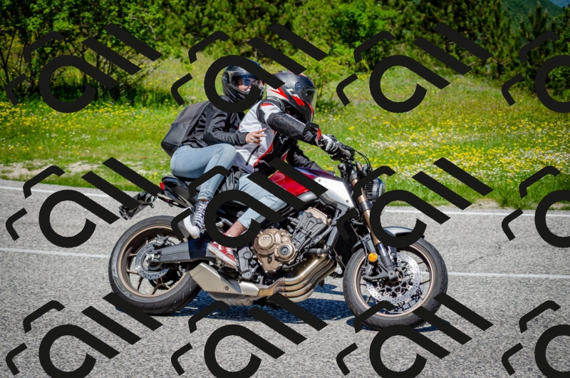 202506011214-DSC_3937_c2