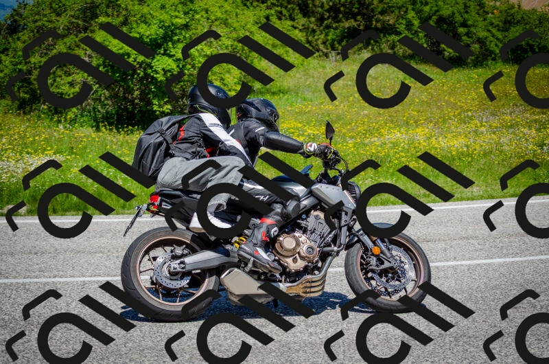 202506011214-DSC_3939_c2