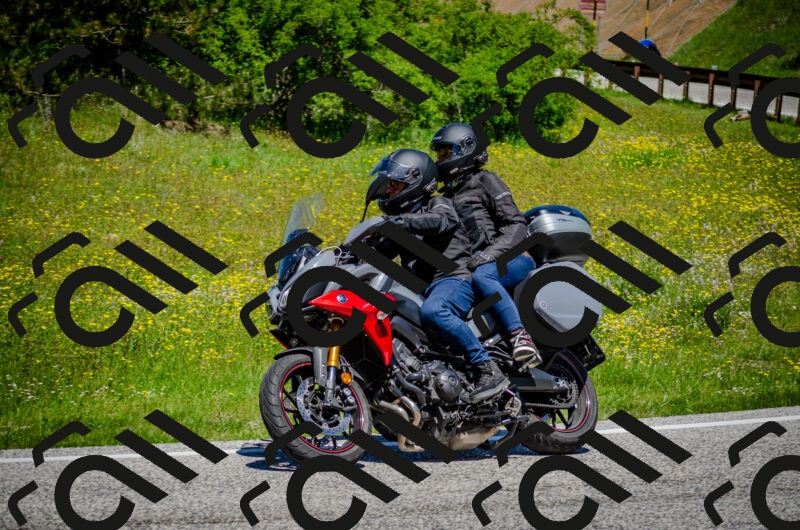 202506011215-DSC_3951_c2