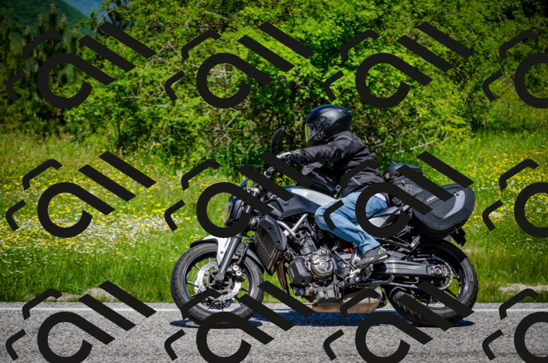 202506011215-DSC_3953_c2