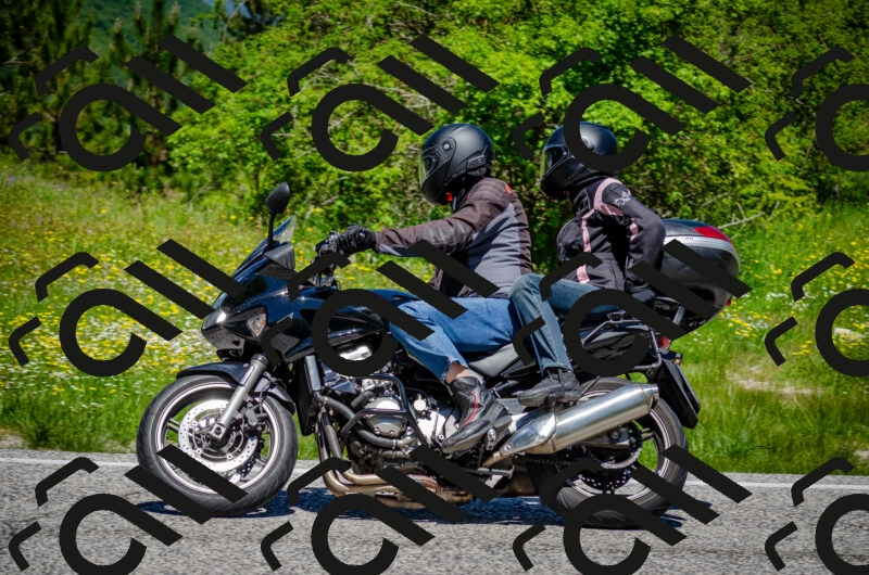 202506011215-DSC_3954_c2