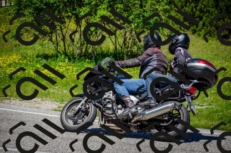 202506011215-DSC_3955_c2