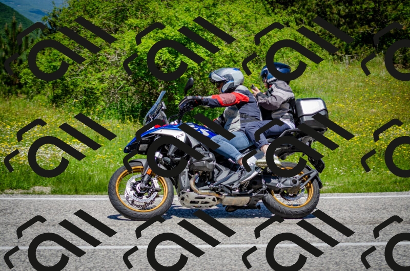 202506011215-DSC_3965_c2