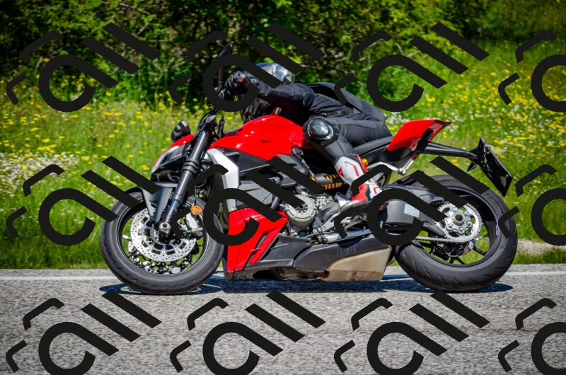 202506011215-DSC_3967_c2