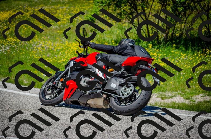 202506011215-DSC_3968_c2