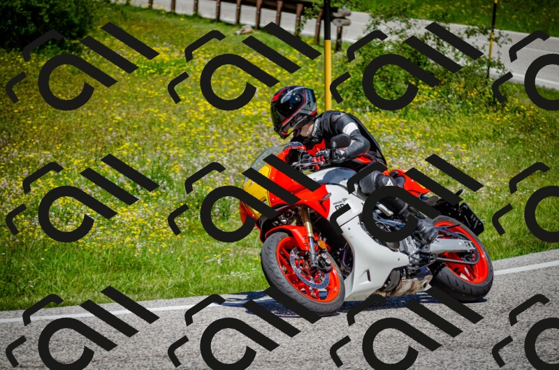 202506011215-DSC_3969_c2