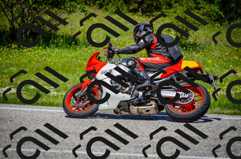 202506011215-DSC_3970_c2