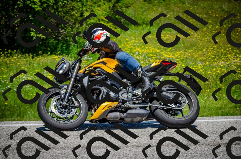 202506011216-DSC_3976_c2