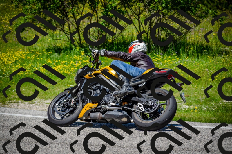 202506011216-DSC_3977_c2