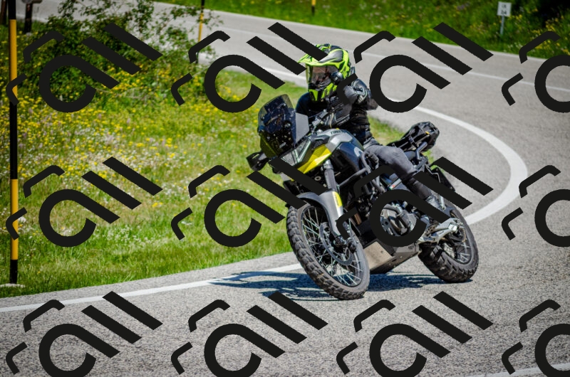 202506011216-DSC_3978_c2