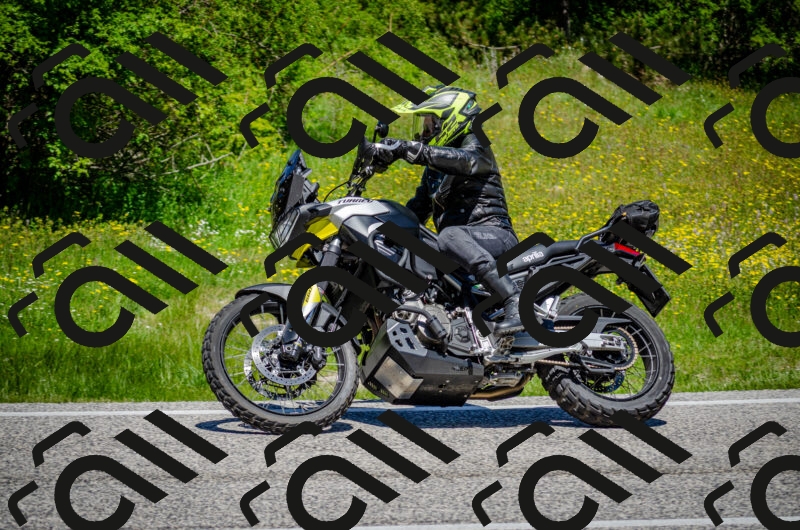 202506011216-DSC_3979_c2