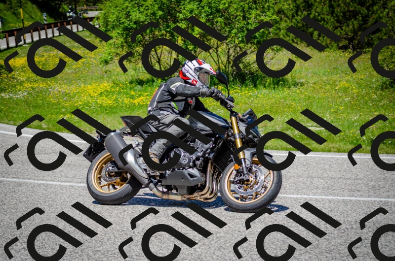 202506011216-DSC_3985_c2