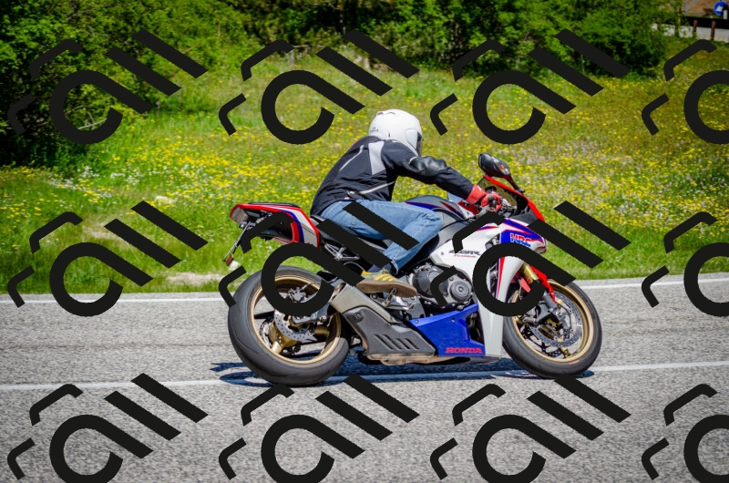 202506011216-DSC_3987_c2