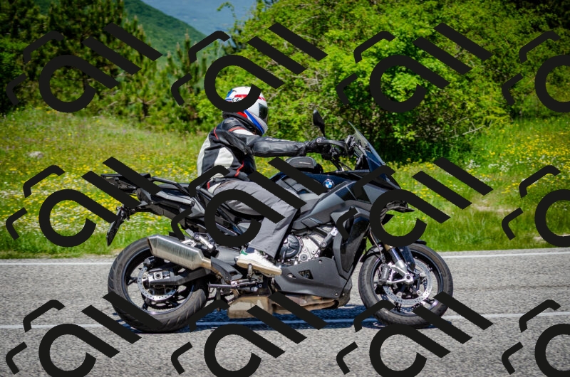 202506011216-DSC_3991_c2