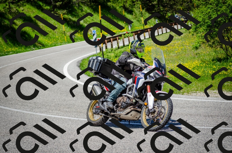 202506011216-DSC_3996_c2