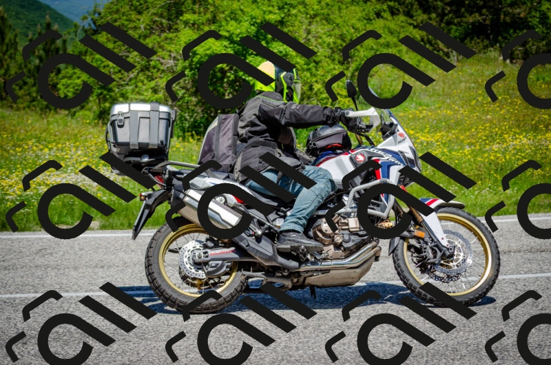 202506011216-DSC_3997_c2