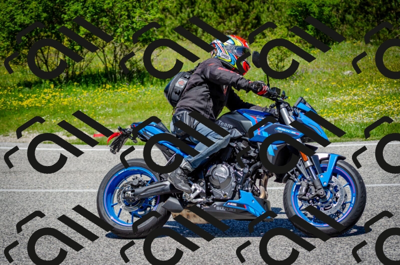 202506011216-DSC_4002_c2