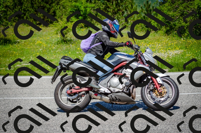 202506011216-DSC_4003_c2