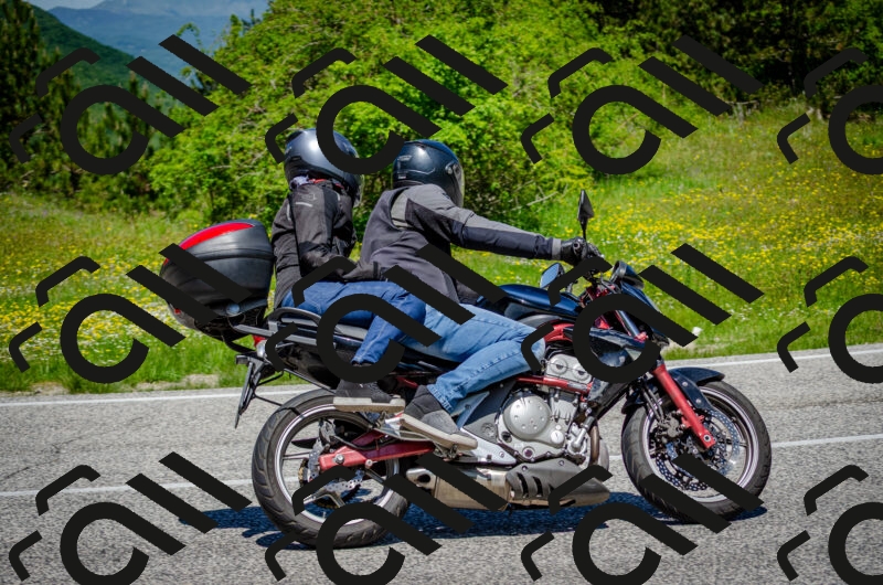 202506011216-DSC_4004_c2