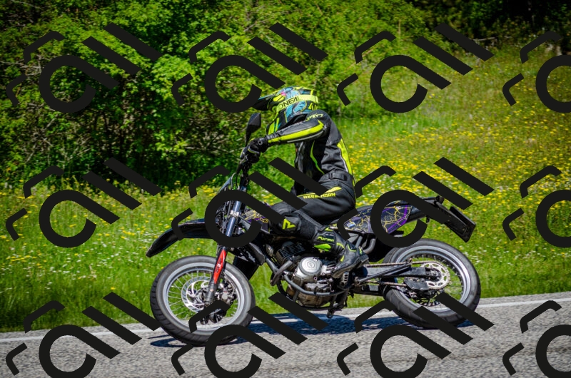 202506011216-DSC_4006_c2