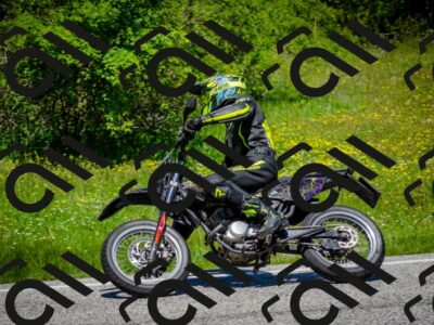 202506011216-DSC_4006_c2