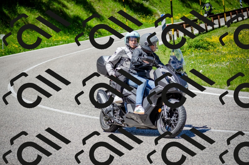 202506011217-DSC_4011_c2