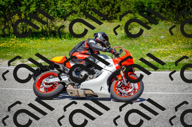 202506011217-DSC_4017_c2