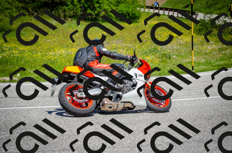 202506011217-DSC_4018_c2