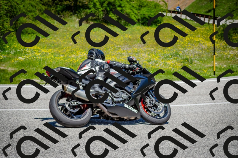 202506011217-DSC_4021_c2