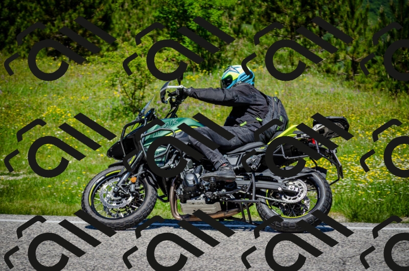 202506011218-DSC_4024_c2