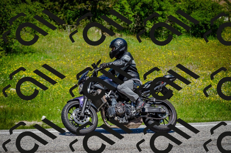 202506011218-DSC_4026_c2