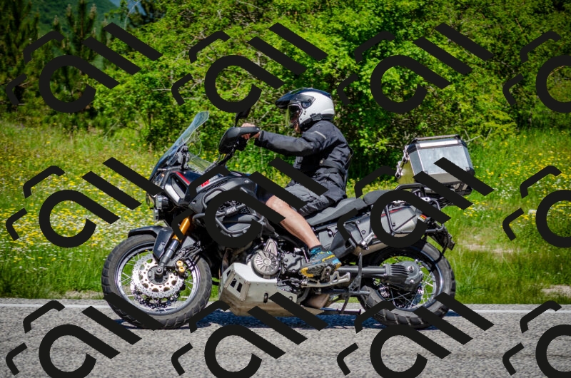 202506011218-DSC_4028_c2