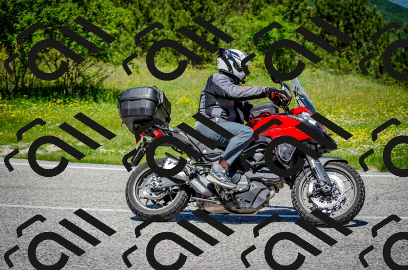 202506011219-DSC_4038_c2