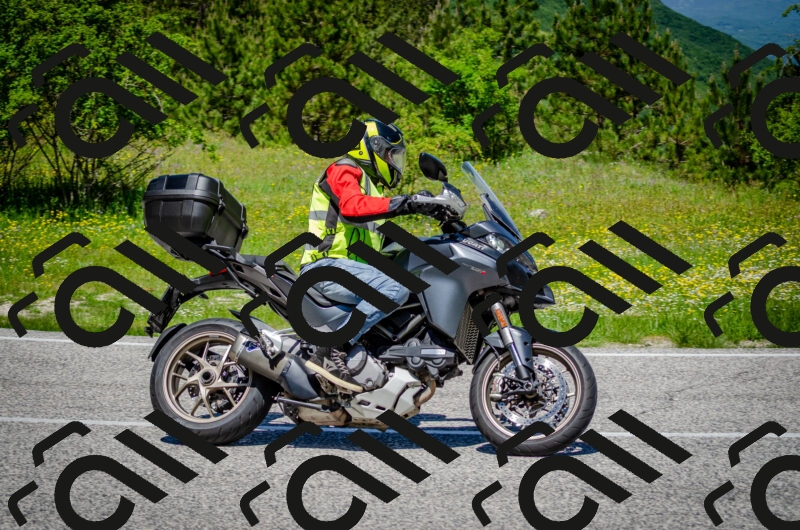 202506011219-DSC_4040_c2