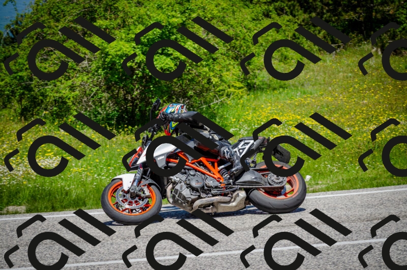 202506011219-DSC_4045_c2