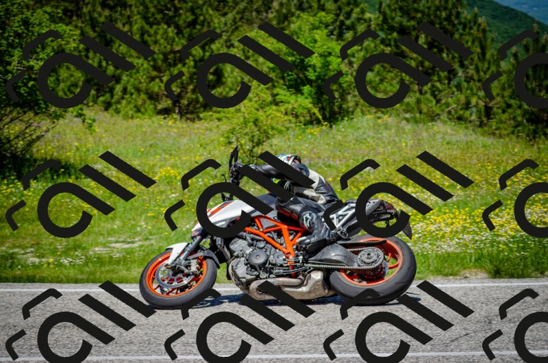 202506011219-DSC_4046_c2