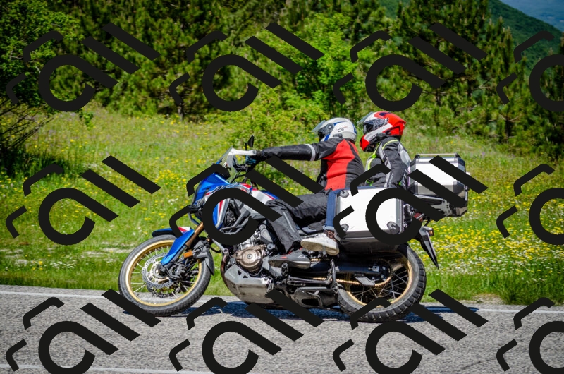 202506011220-DSC_4049_c2