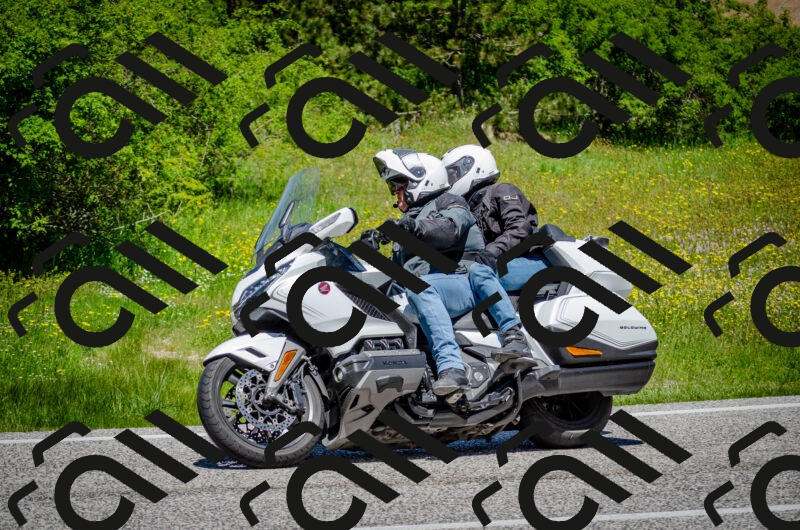 202506011220-DSC_4053_c2