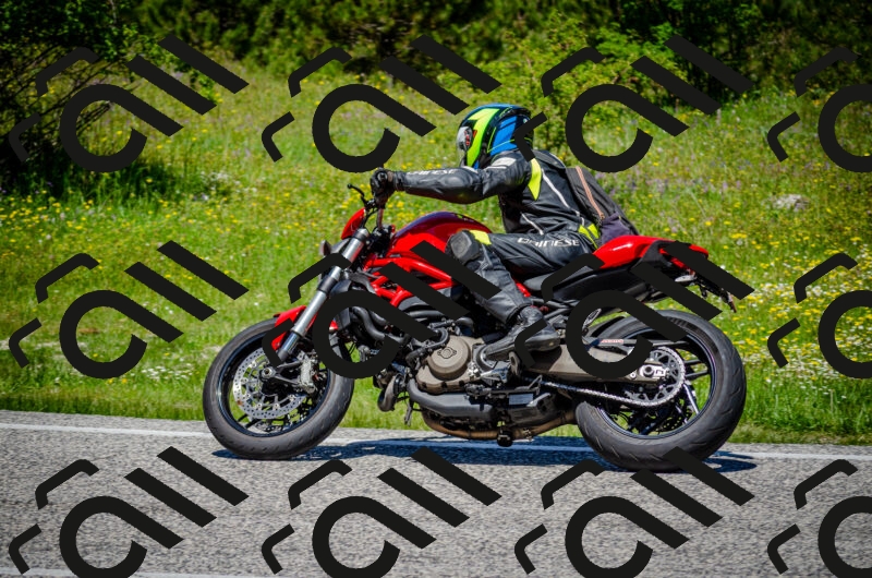 202506011221-DSC_4064_c2