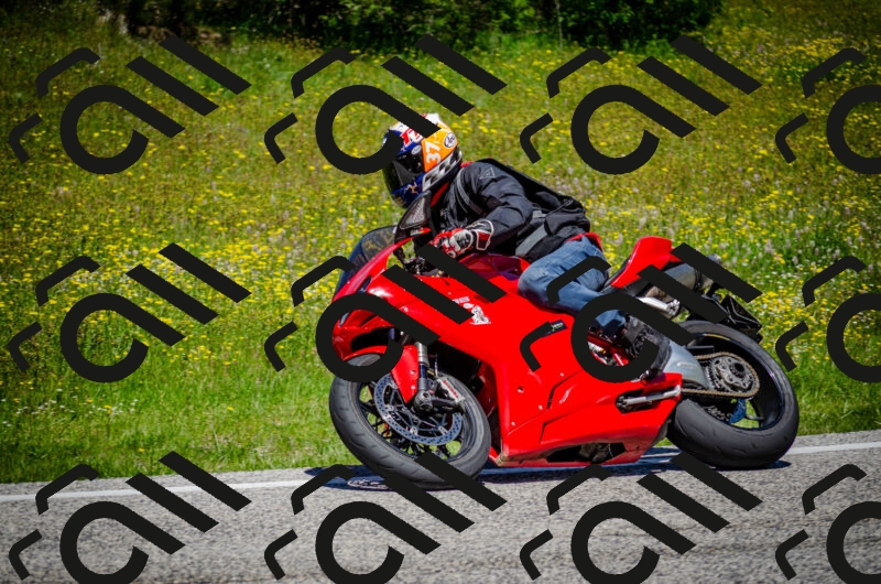 202506011222-DSC_4070_c2