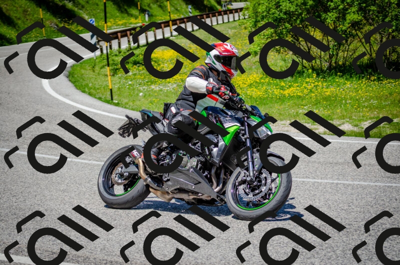 202506011224-DSC_4076_c2