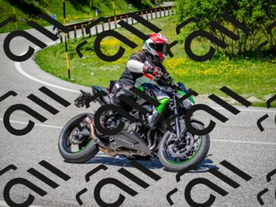 202506011224-DSC_4076_c2